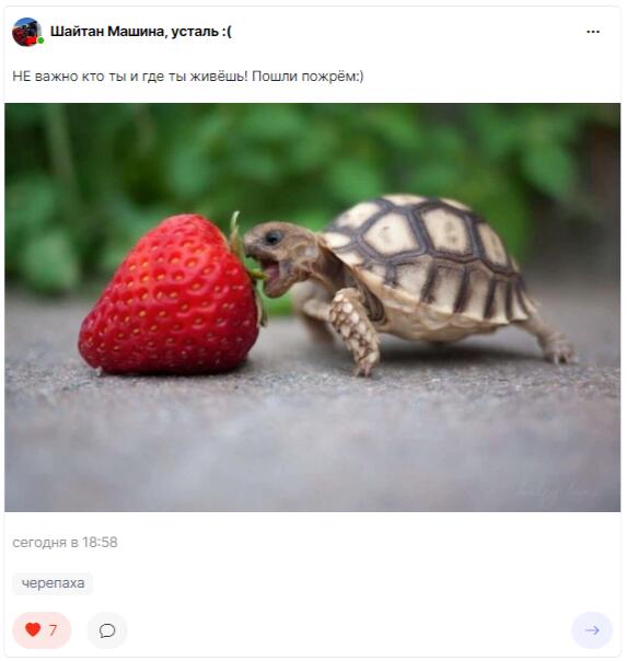 НЕ важно кто ты и где ты живёшь. Пошли пожрём.