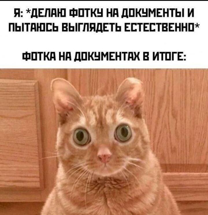 Жиза