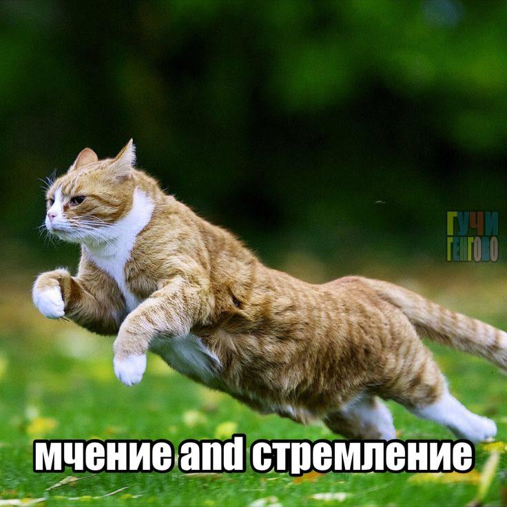 Мемности