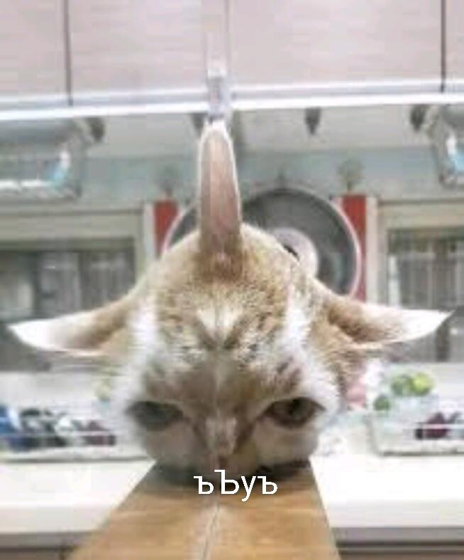 Это я когда в 7 утра в школу: