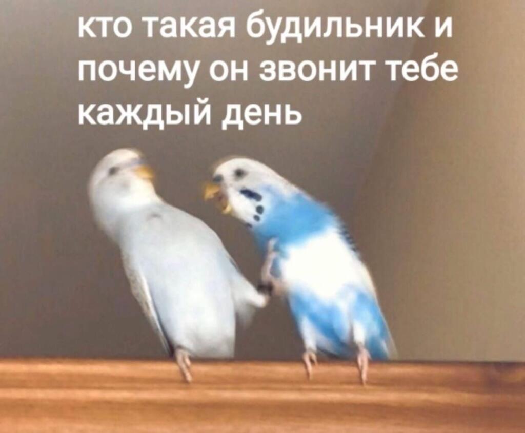Мем без подписи