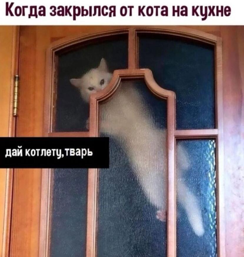 Мем без подписи
