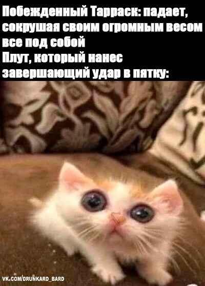 Мем от Хомякокот