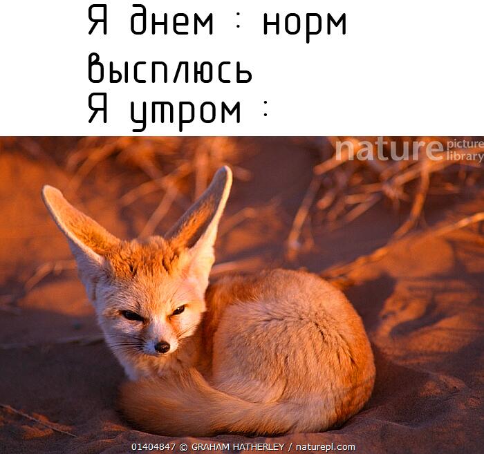 ешщо одмн мнем