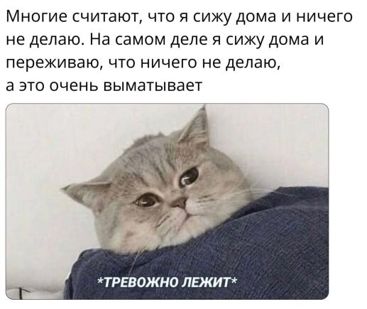 Мем от suuuuuuu555 ဗ