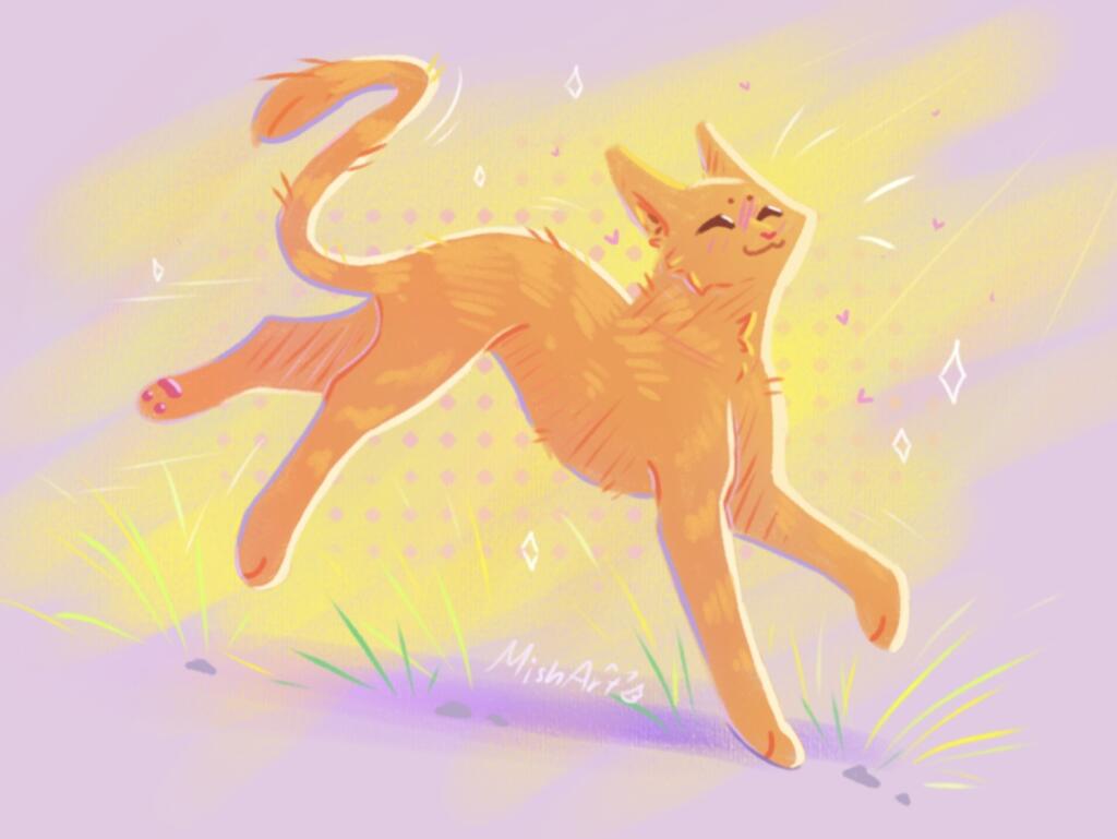 Котя