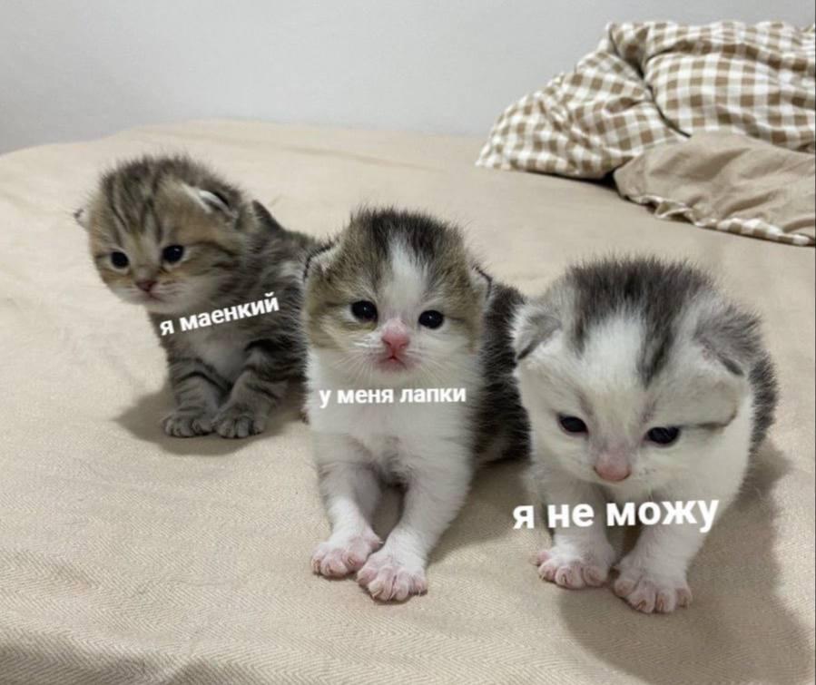Я при столкновении с любой трудностью: