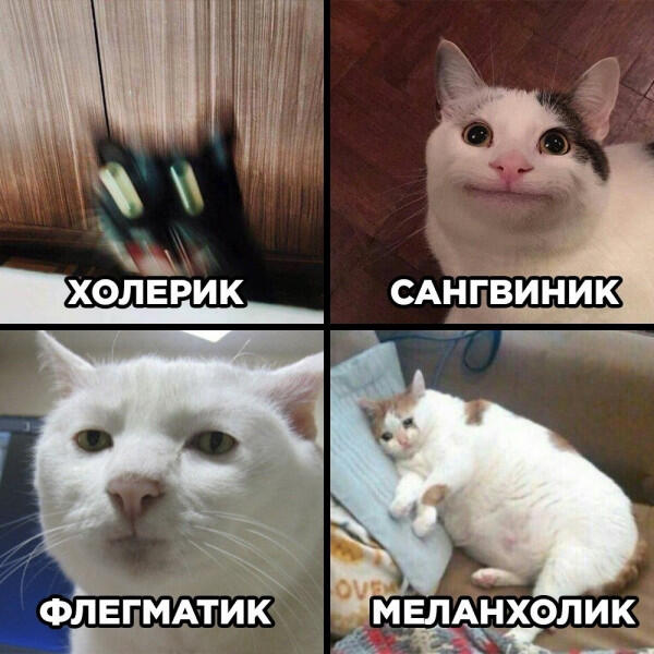 Мем без подписи