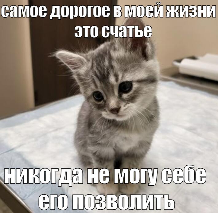 о, я впервые за 100 лет выложил мем (и даже сам его сделал)