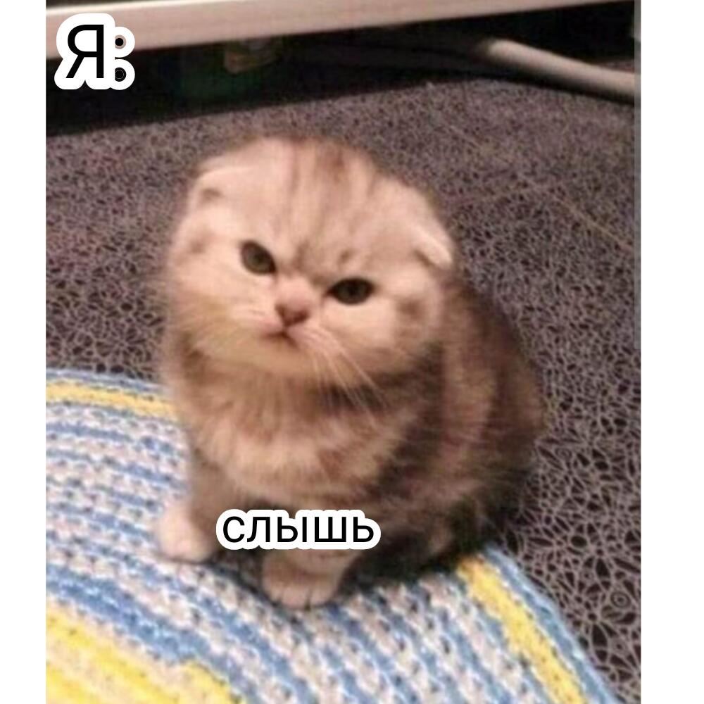 Я: блин я в 7 лет была такая глупая(
Друг: ты и сейчас на 7 выглядишь 
Я: спасибки 
Я:*поняла*