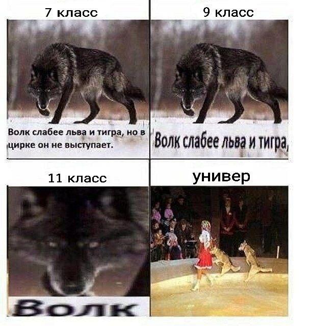 Четвертое состояние-пожизненное
