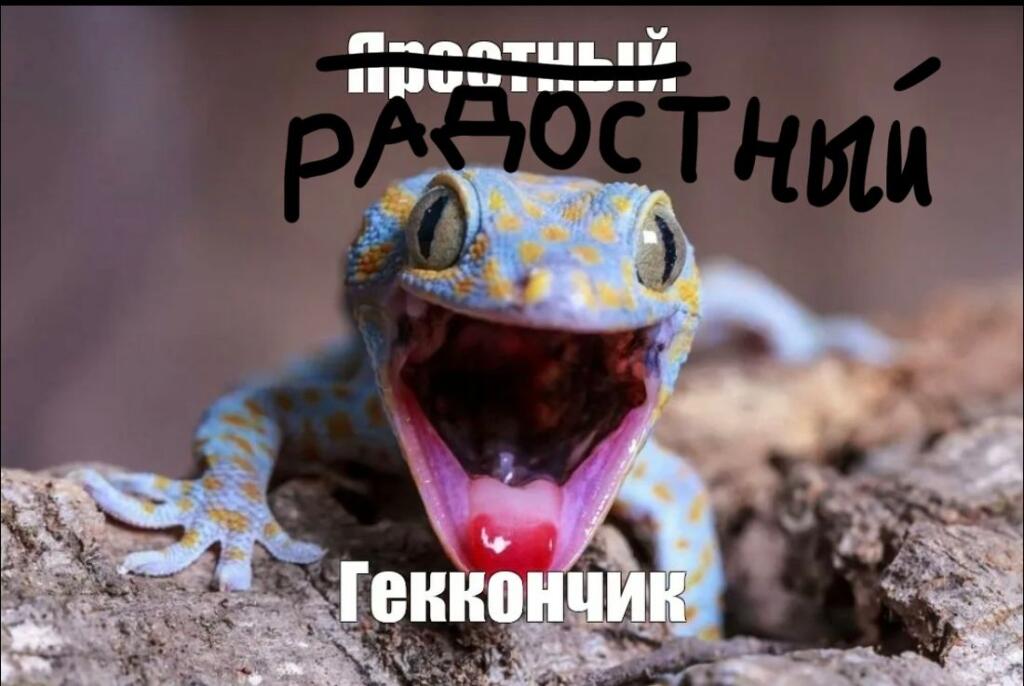 Итак! Прошёл ровно год с момента создания моего мемозга! Спасибо всем за поддержку,пора пожалуй подвести итоги года:
1.