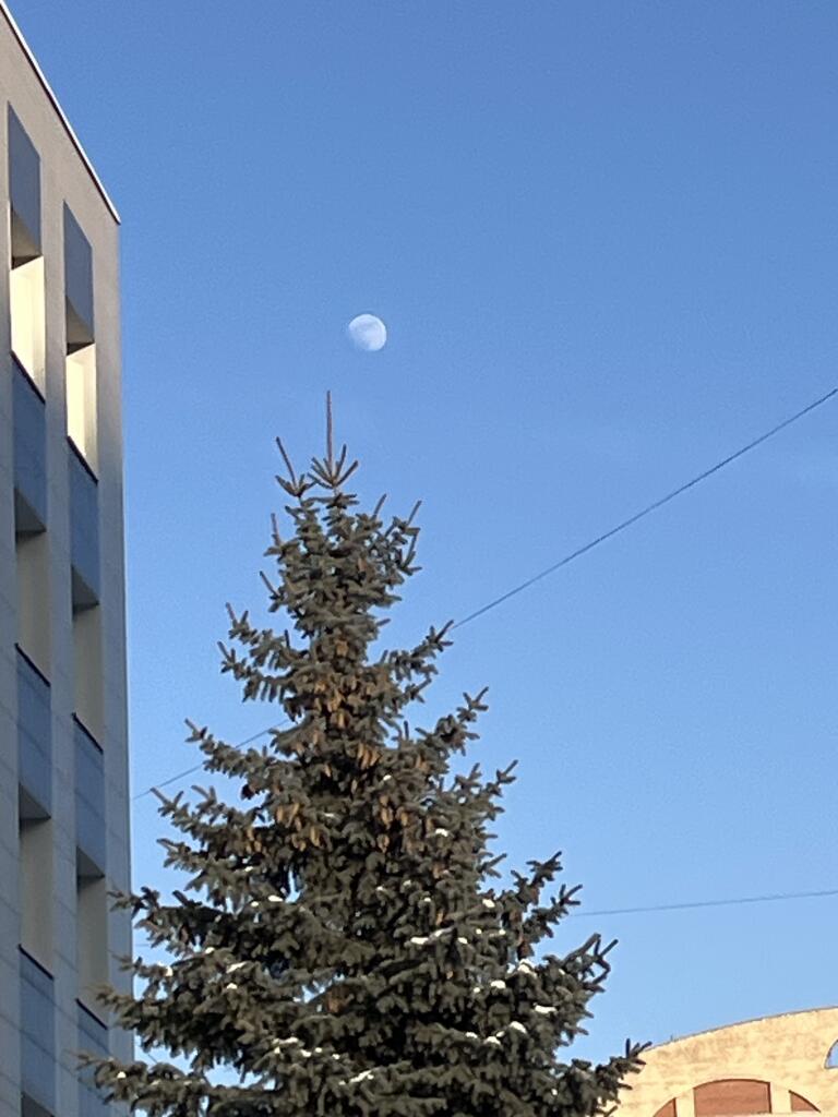 Луна ты чё, ещё рано