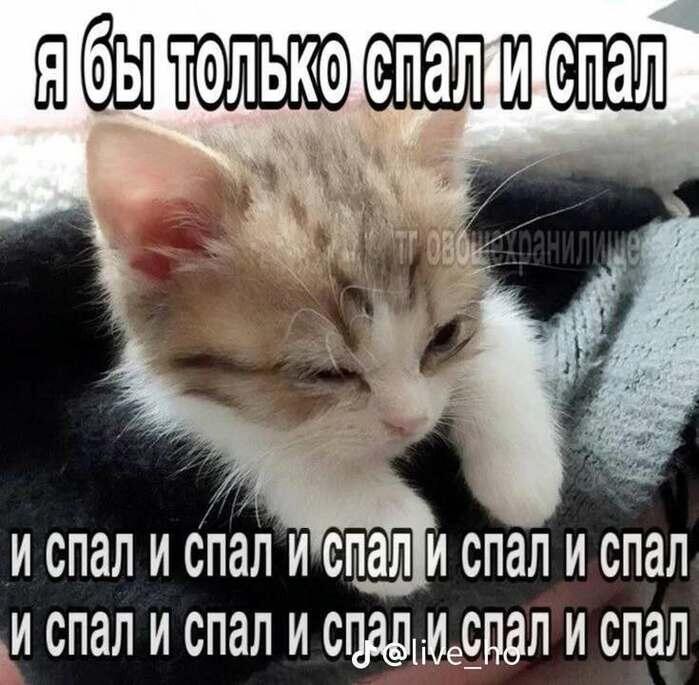 Мем без подписи