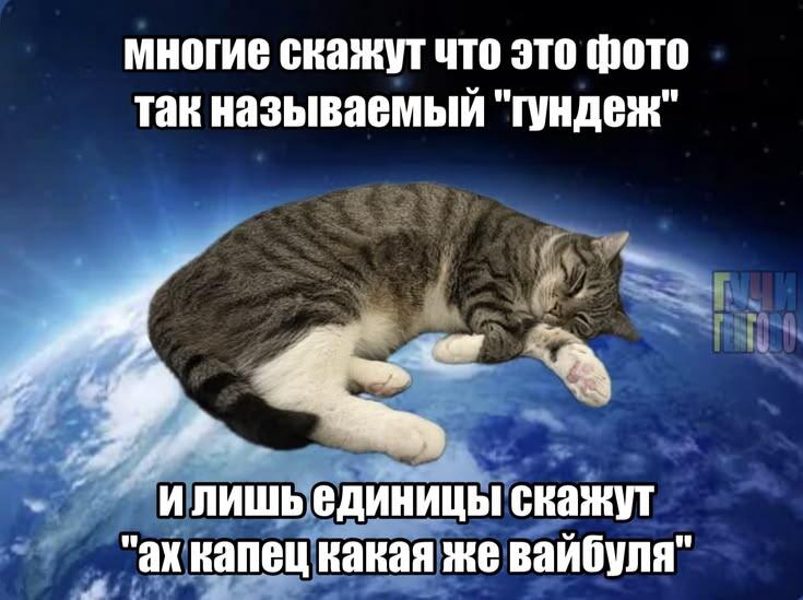 Мемы