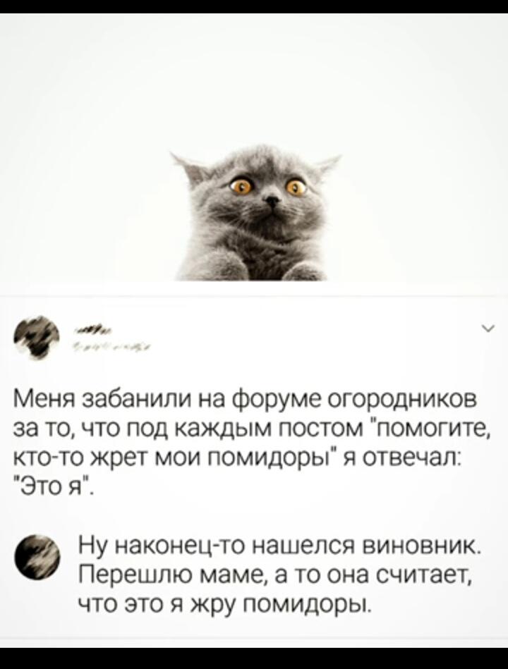 Мем от Lahma
