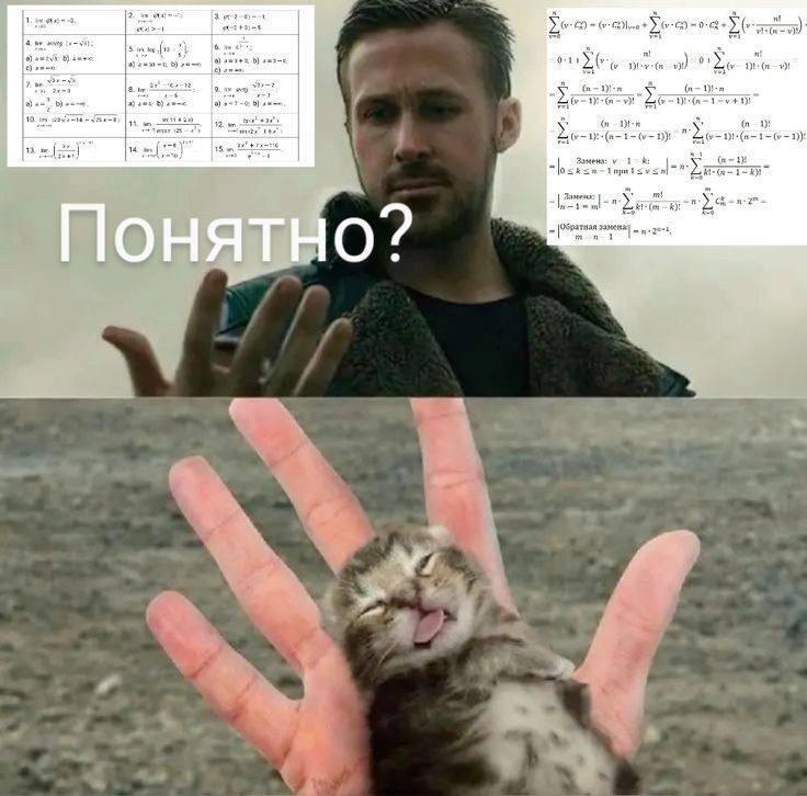 Думаю все мы немного этот котёнок. Кстати, я выложил этот мем? Ого, ничего себе, спустя такой промежуток времени я вышел