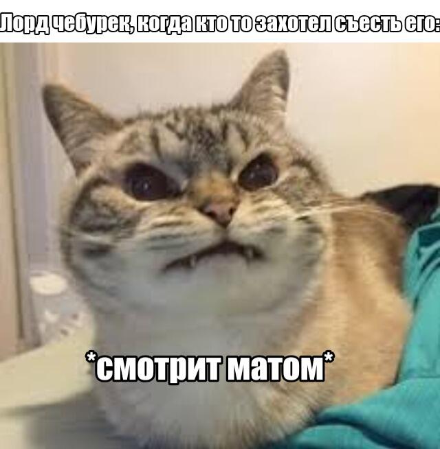 Да, именно.