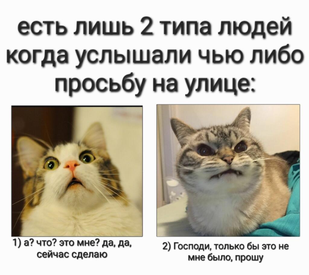 (Просят не его)