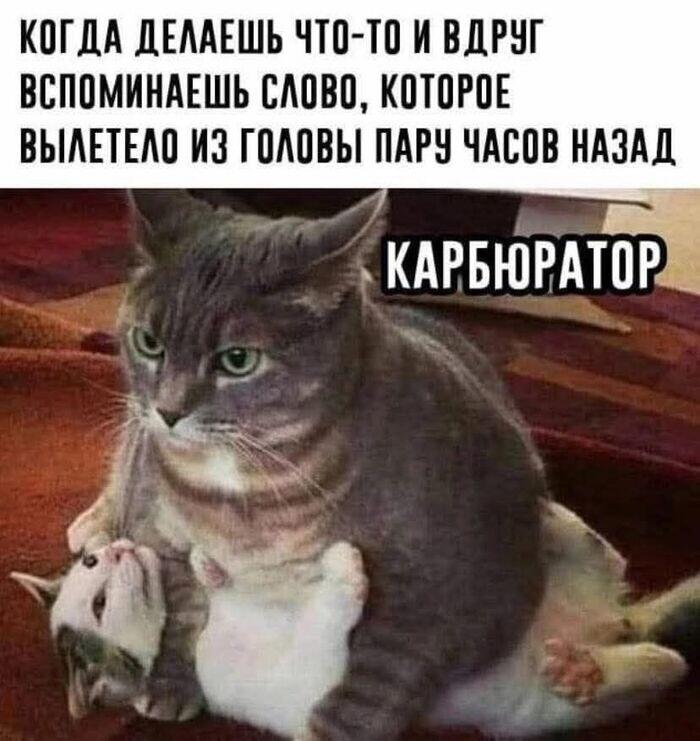 Мем от timacat2 в С.С.К.Р.
