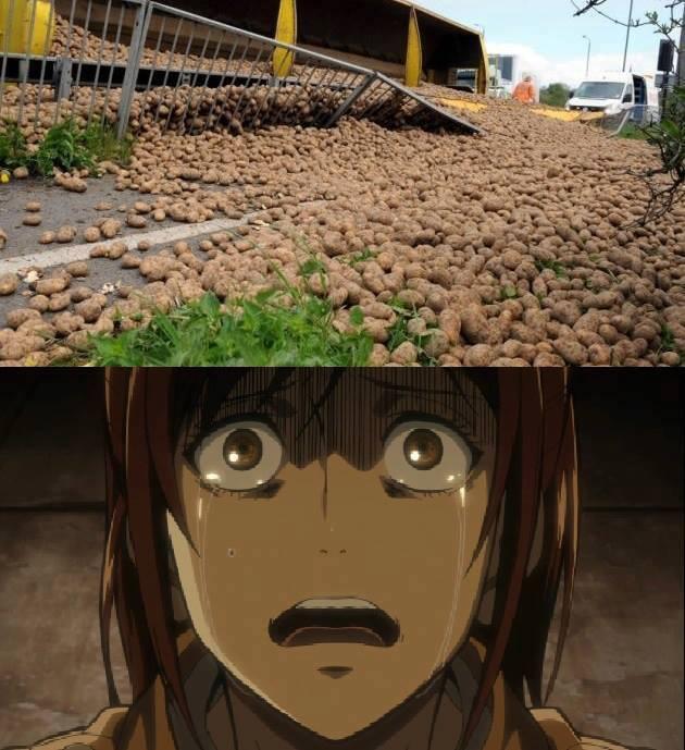 БУЛЬБАААААААААААААА