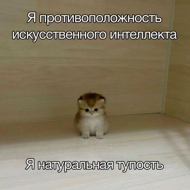 Мемы раз в 100 лет (теперь и у меня так)