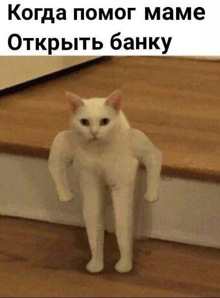 Мем от Procto_Nefor