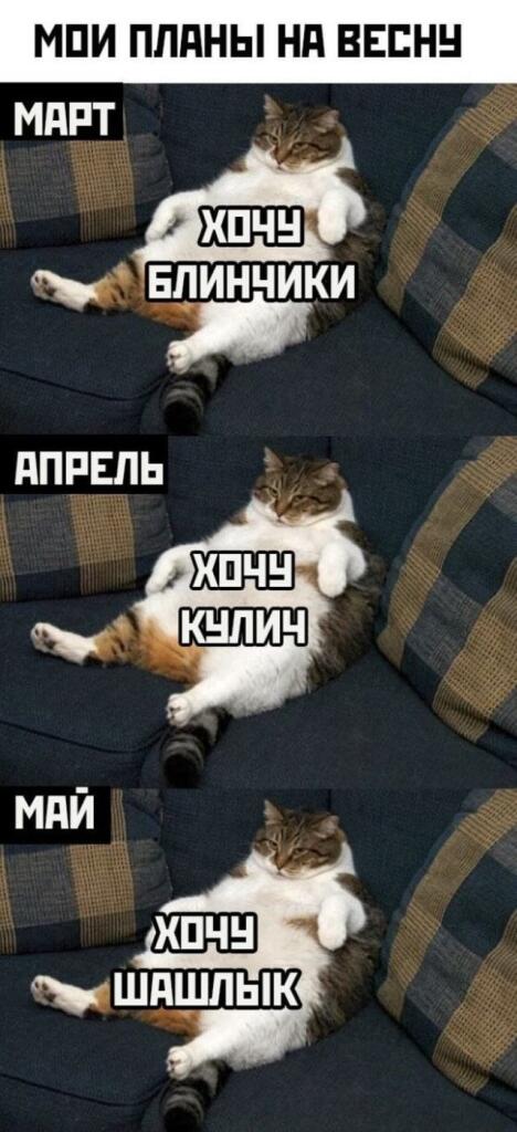 Мем без подписи
