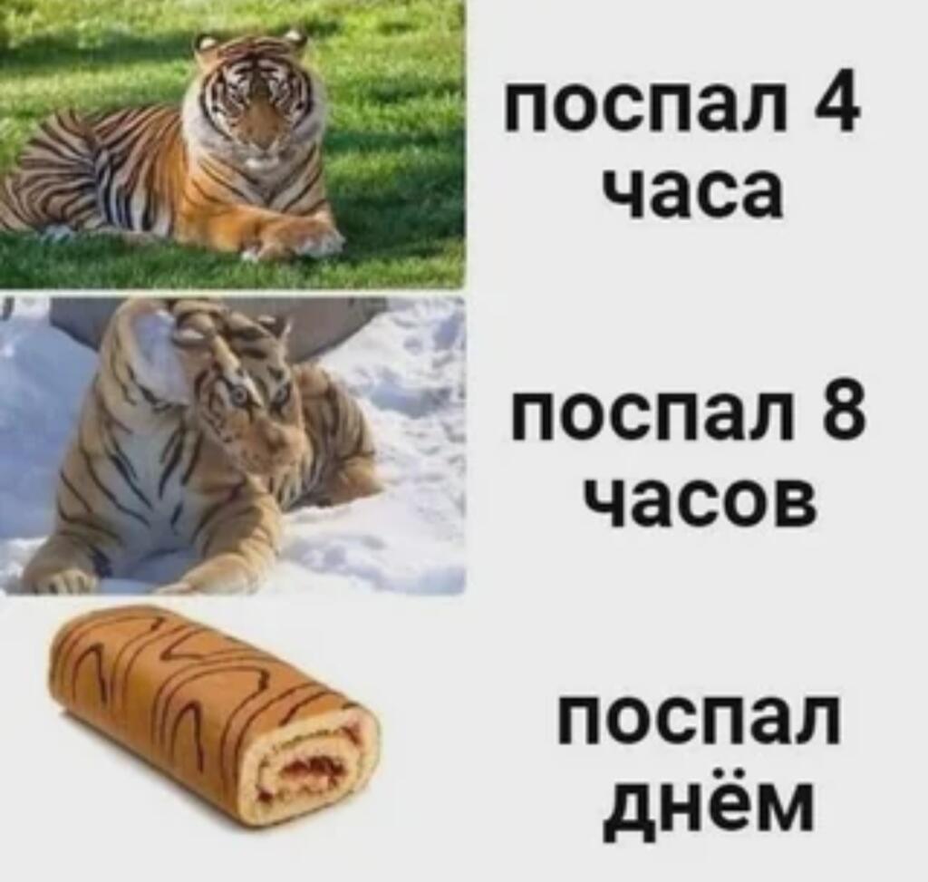 Мем без подписи