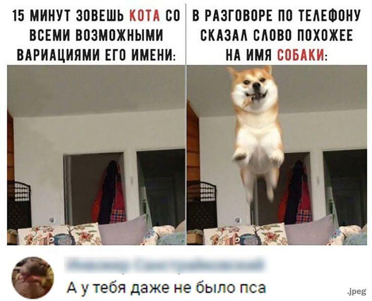 Мем без подписи