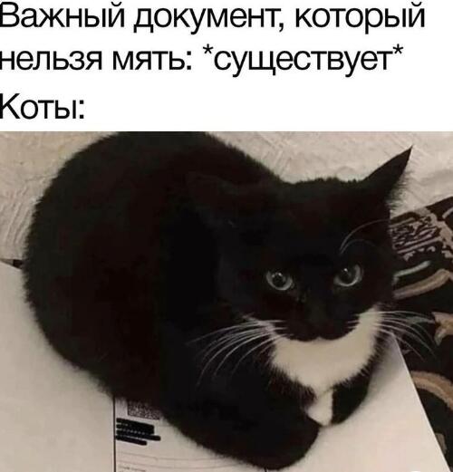 Мем от db