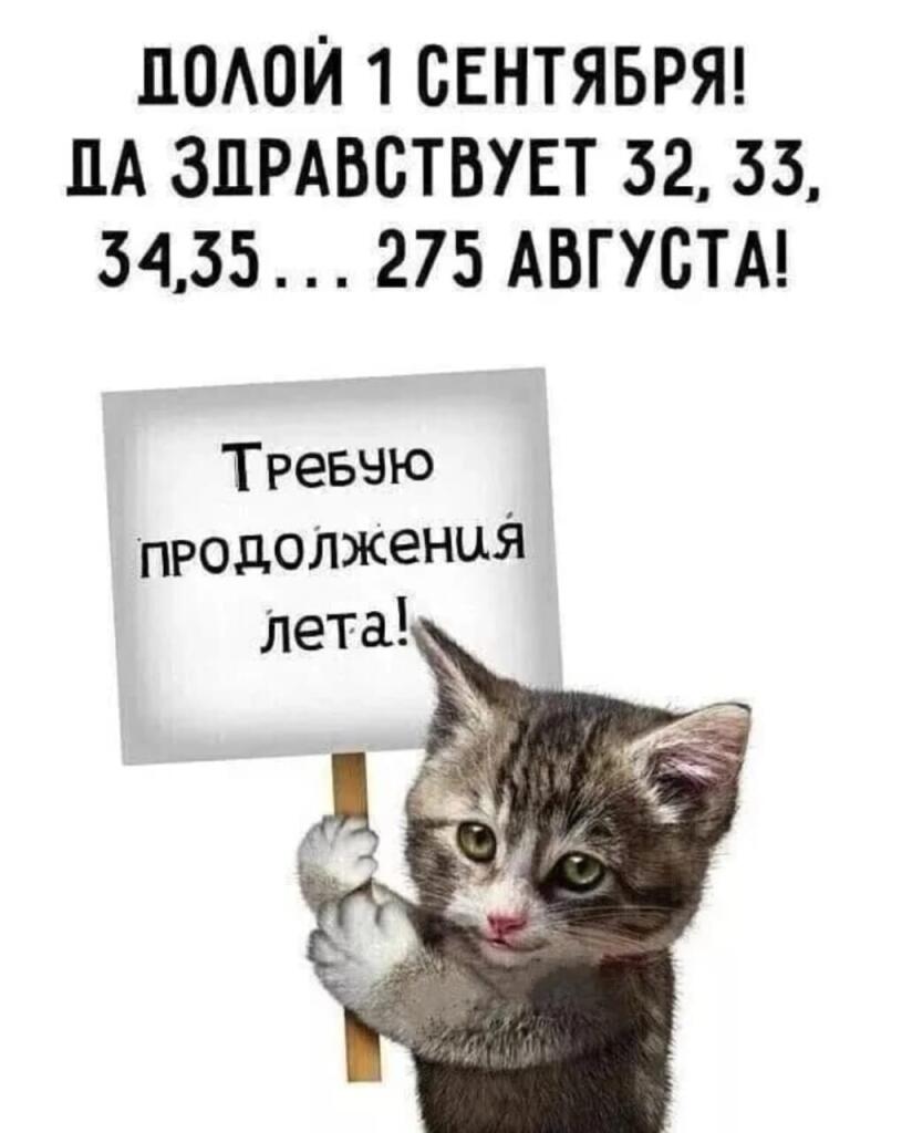 Когда лето кончилось хочешь ещё