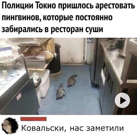 Мем без подписи