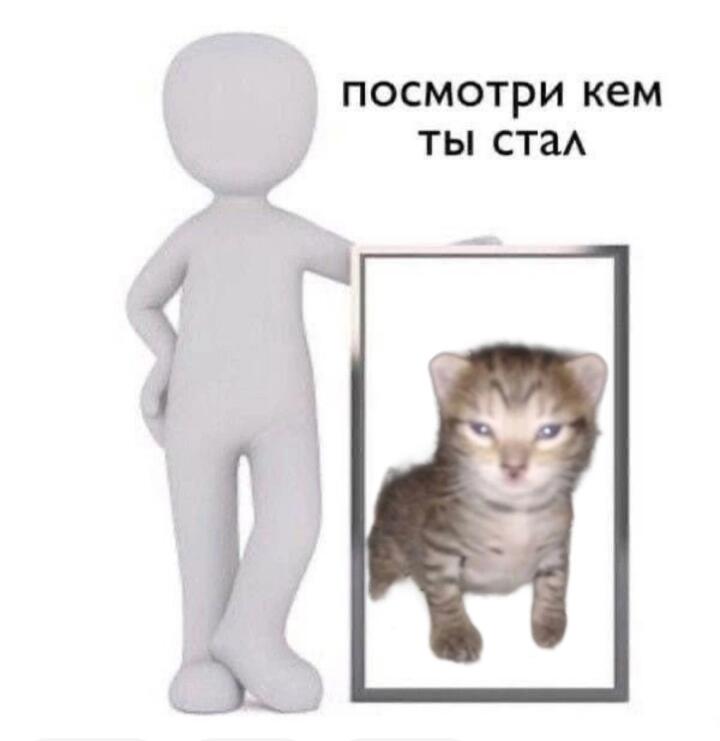 Мем от Макар Доля🔧😾