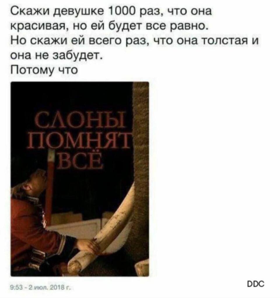 Жопа, температура 40,лежу с компрессом:(