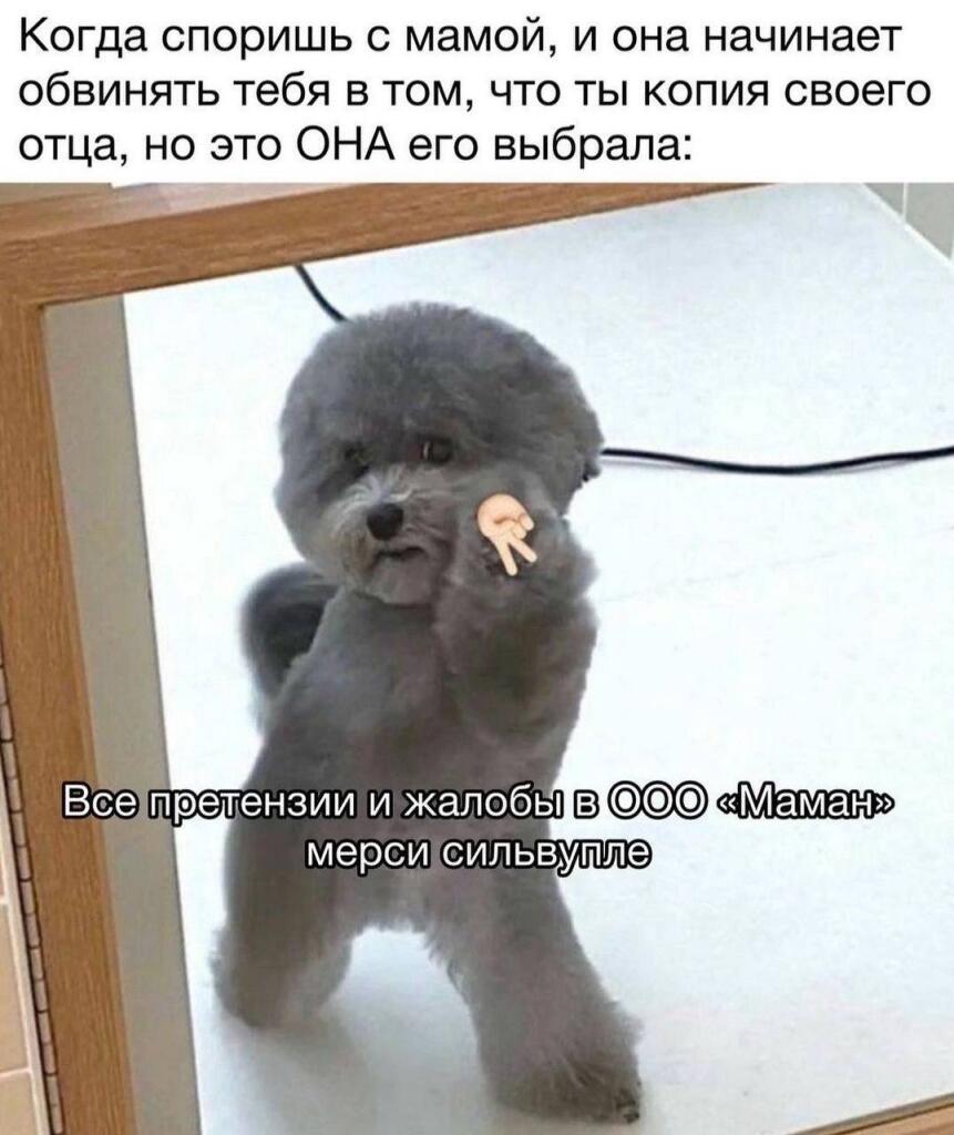 Мем от CrossoverSaness123
