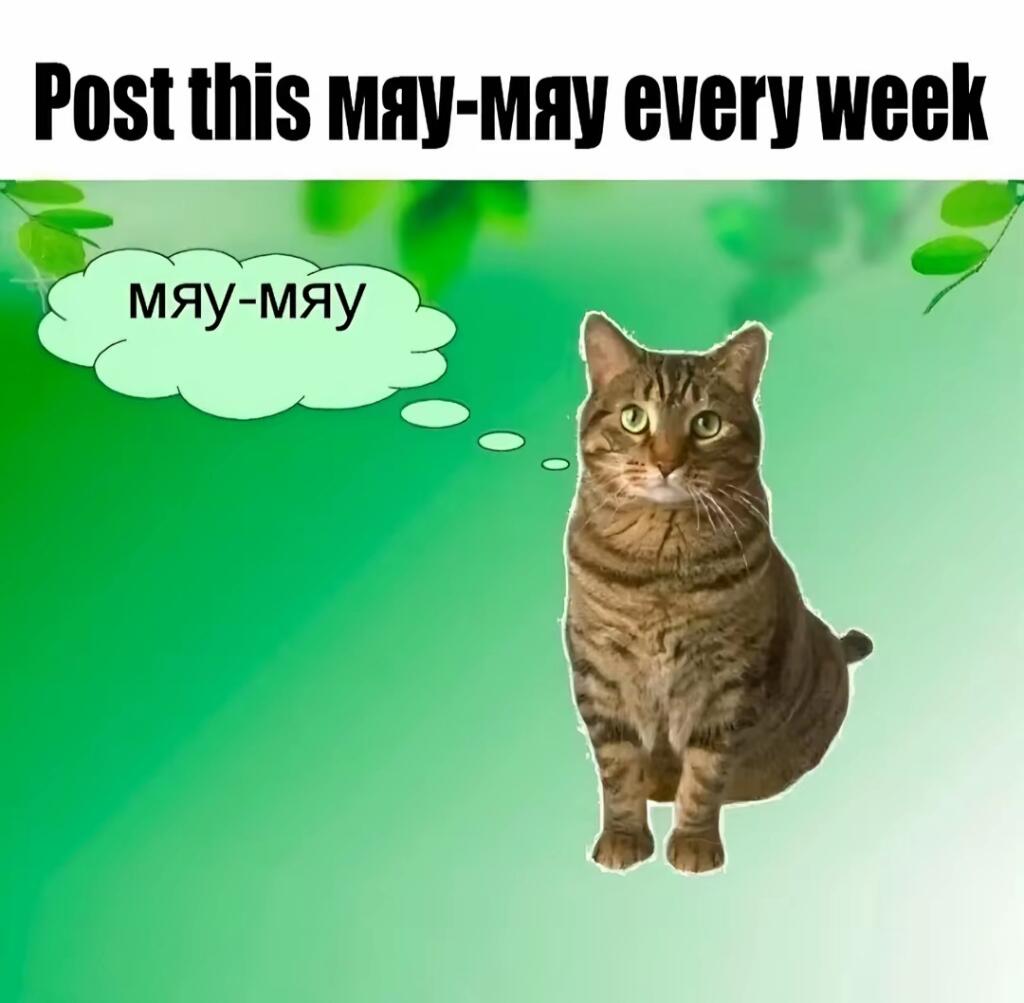 Post this мяу-мяу every week