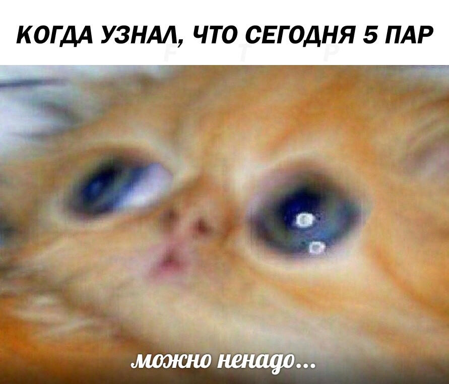 Мем без подписи
