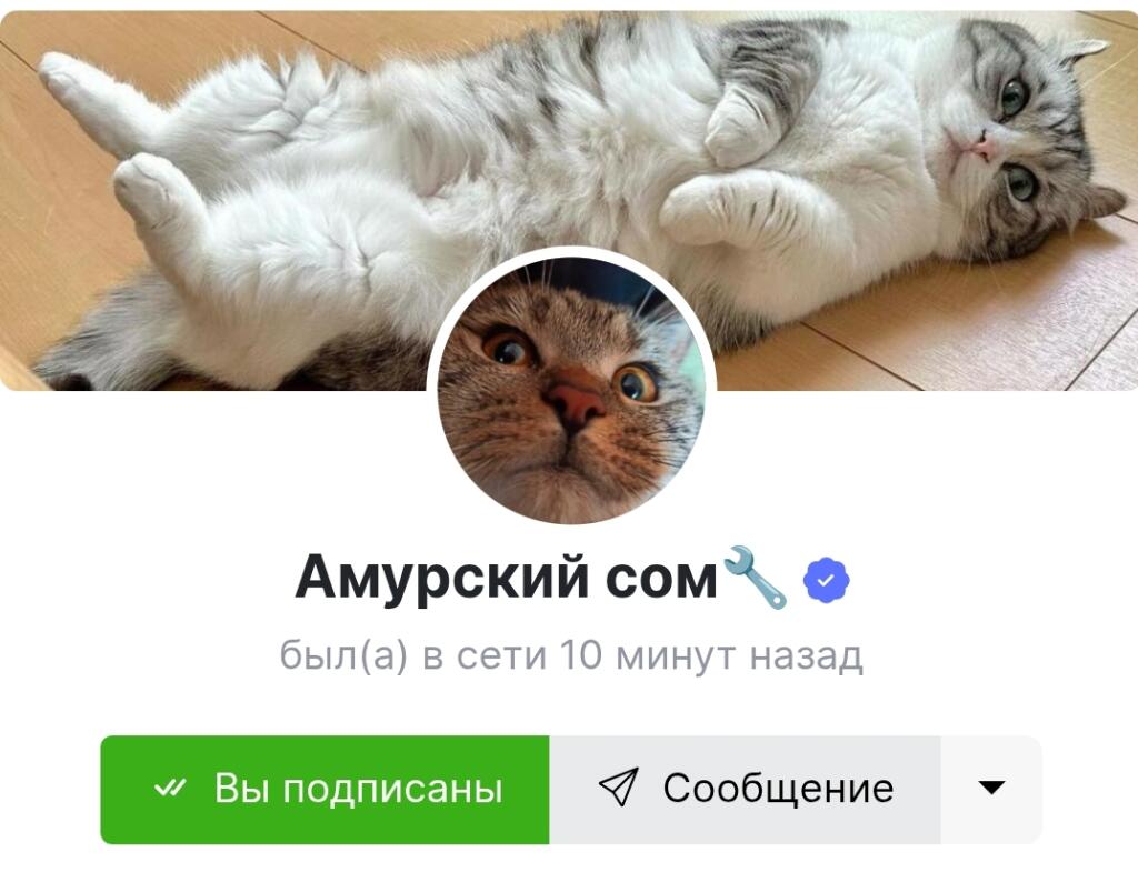 АааАаАааА што с форвилам?