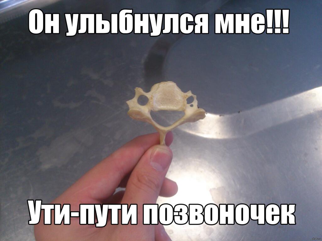 а он выпал 💀