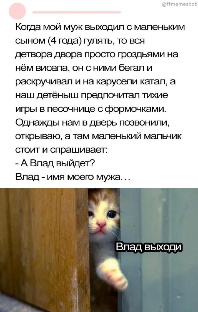 Мем без подписи