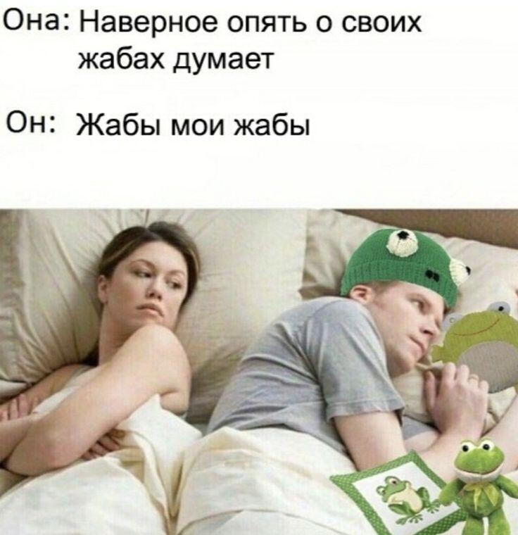 Это среда мои чуваки! Вот вам мем про жаб и трафарет для плюшевых жабо...
