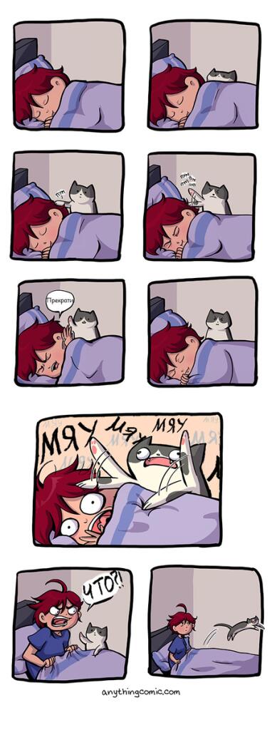 Мем без подписи