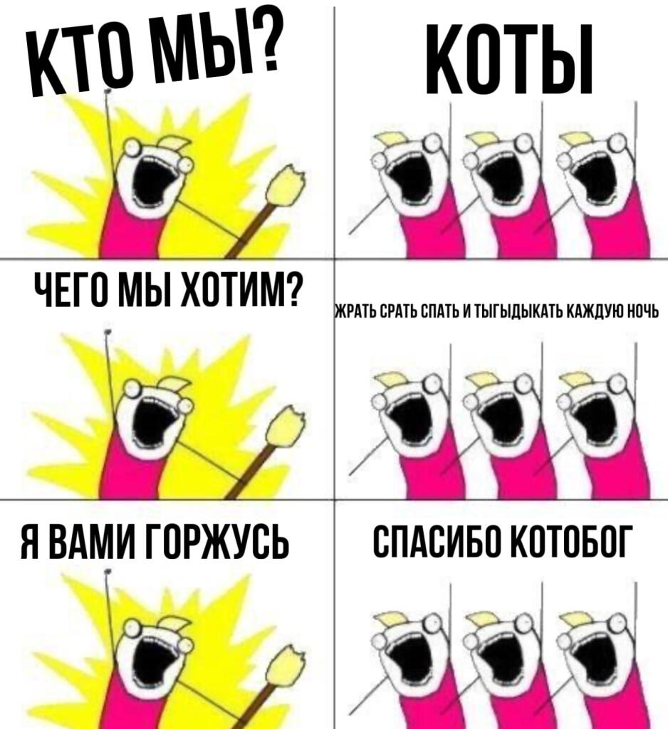 Коты такие типо: