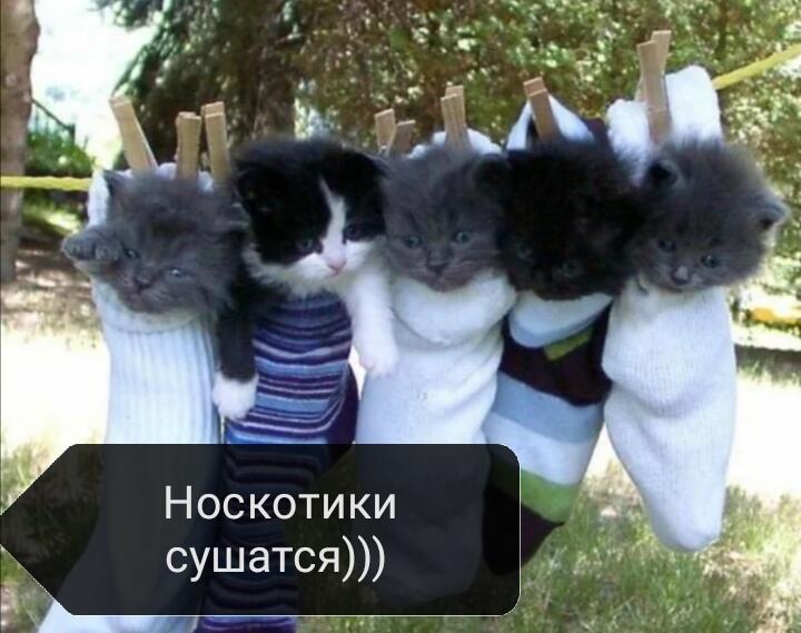 Носкотики)
