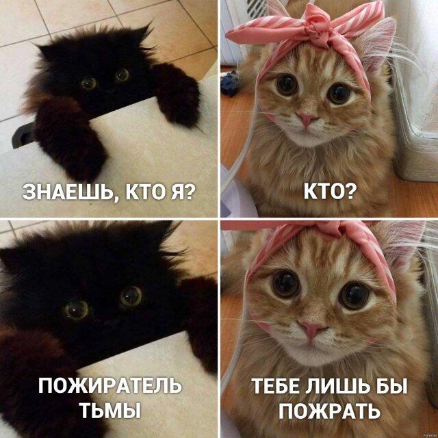 чисто я