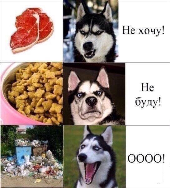 Мем от Kor0bka