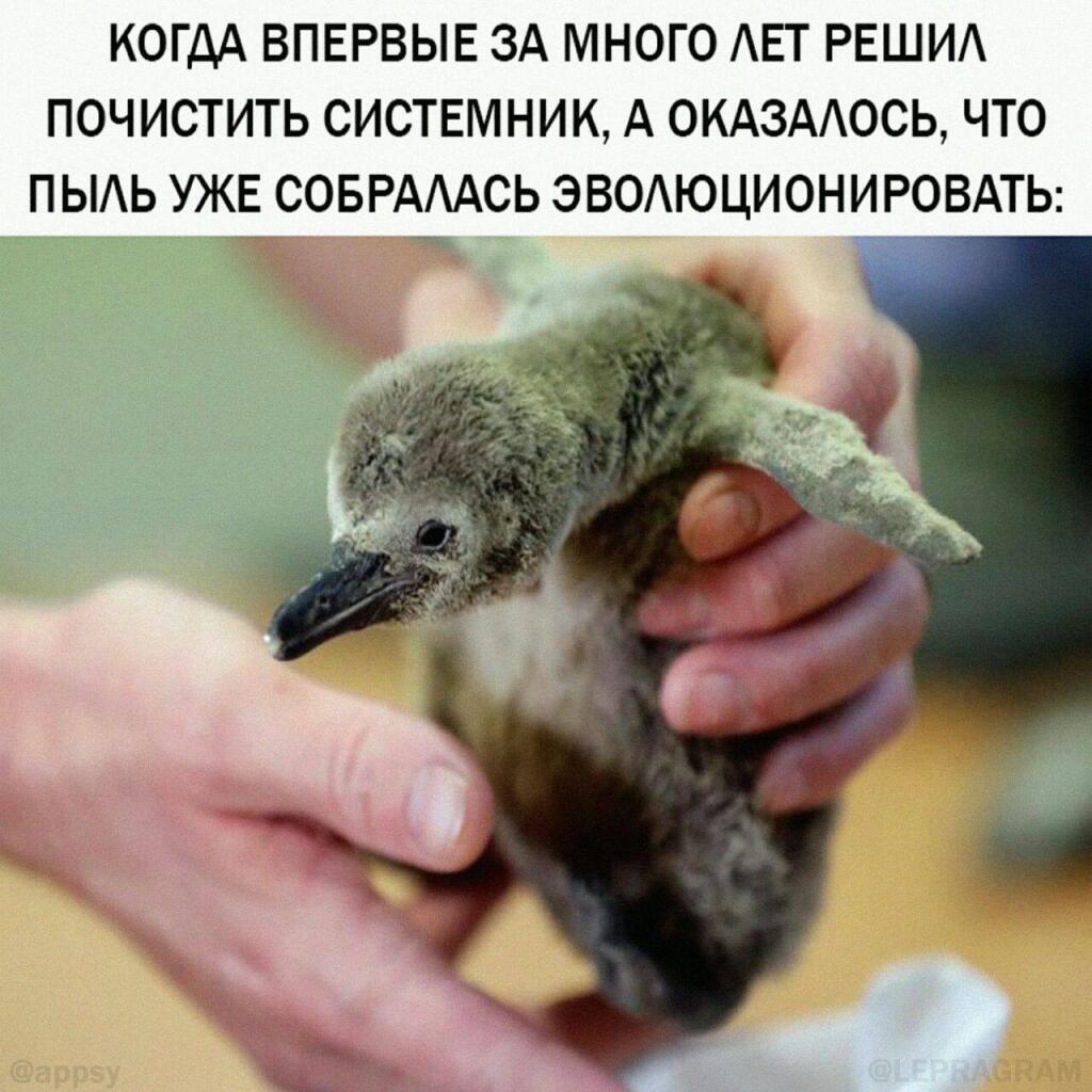 Мем без подписи