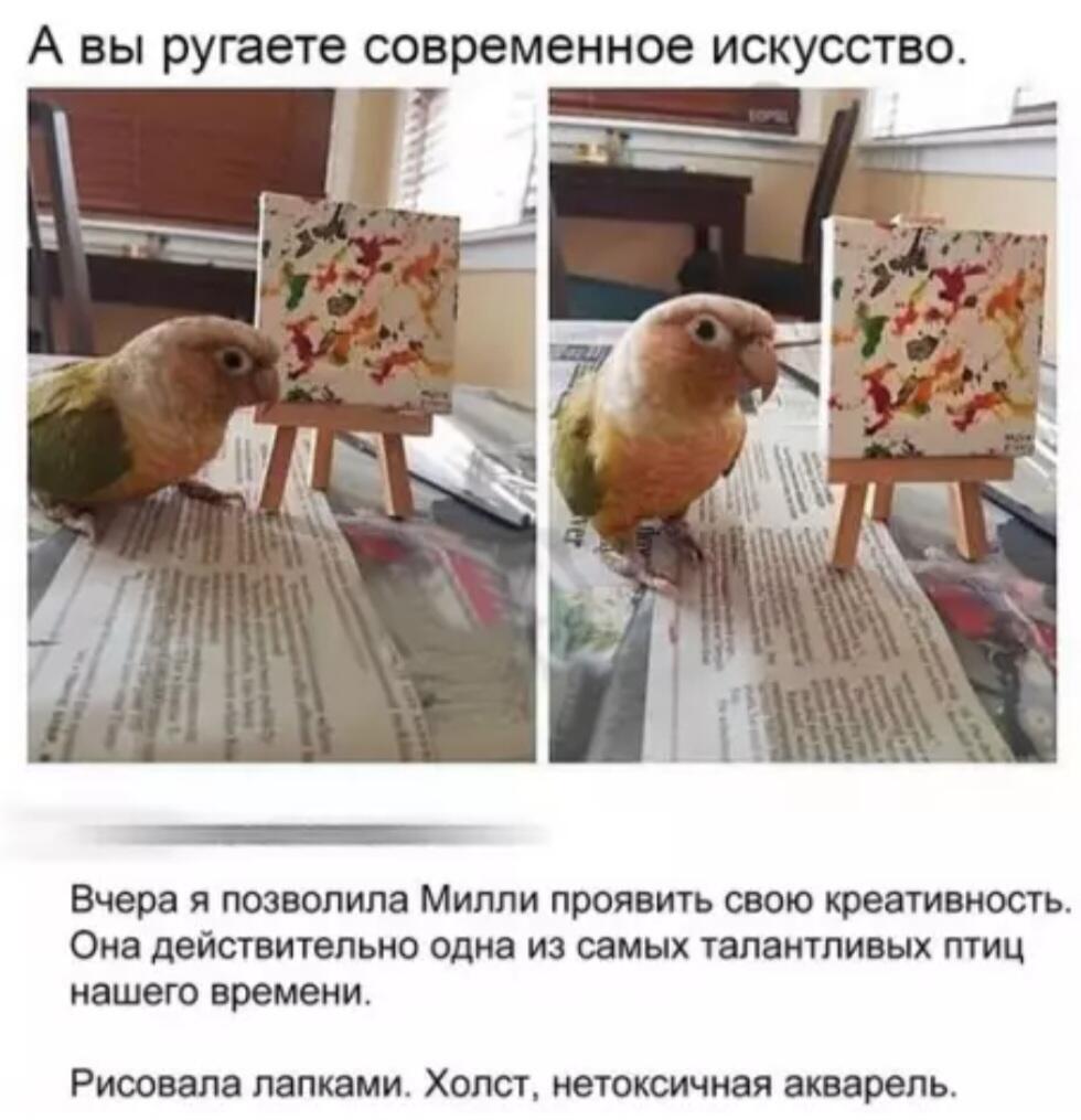 Мем без подписи