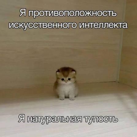 И это говорил мой одноклассник XD